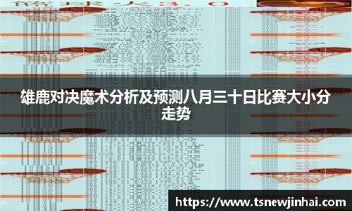 zoty中欧雄鹿对决魔术分析及预测八月三十日比赛大小分走势