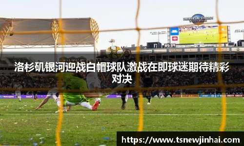 zoty中欧官方网站